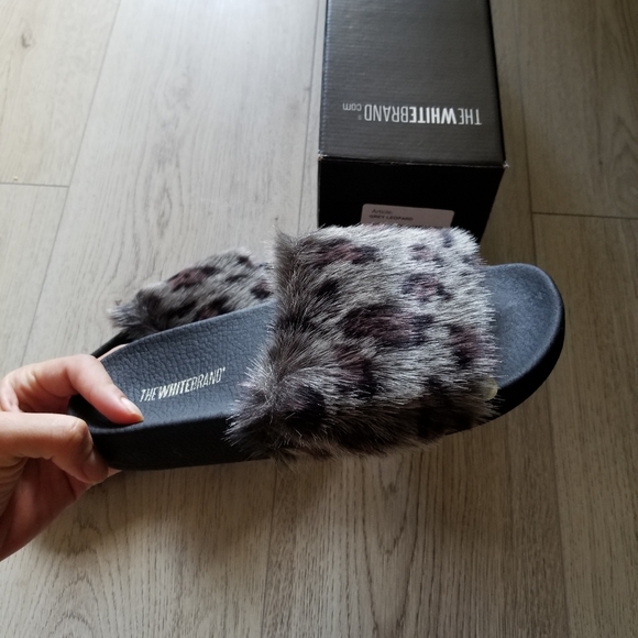 SLIDE - Picture 2 of 3